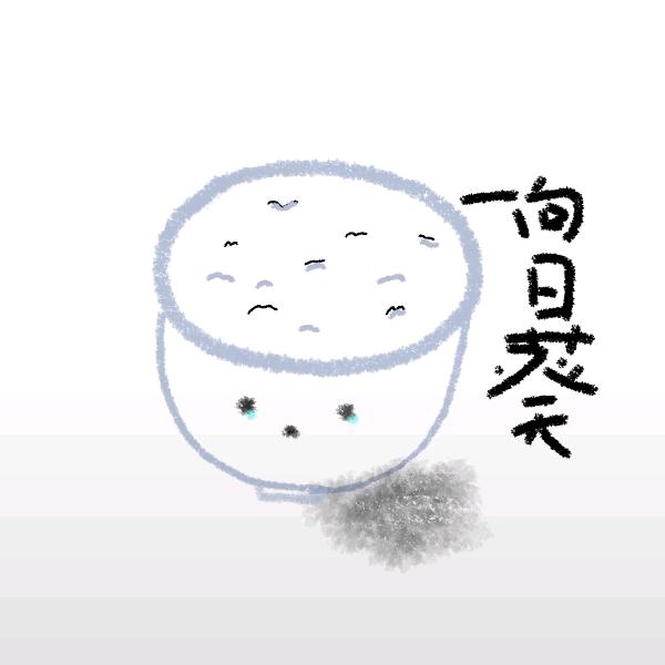 向日葵