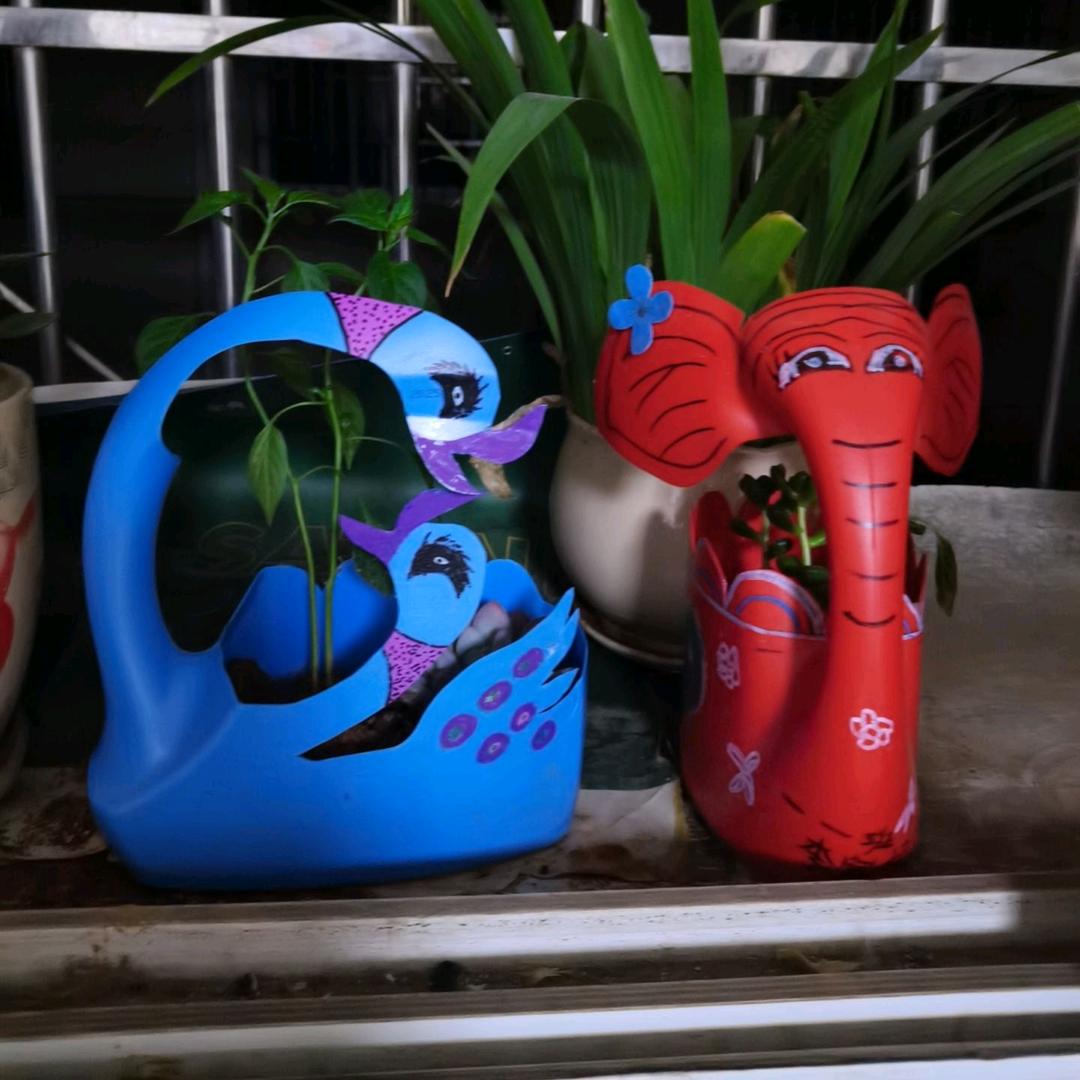 灿烂阳光，拒绝合拍