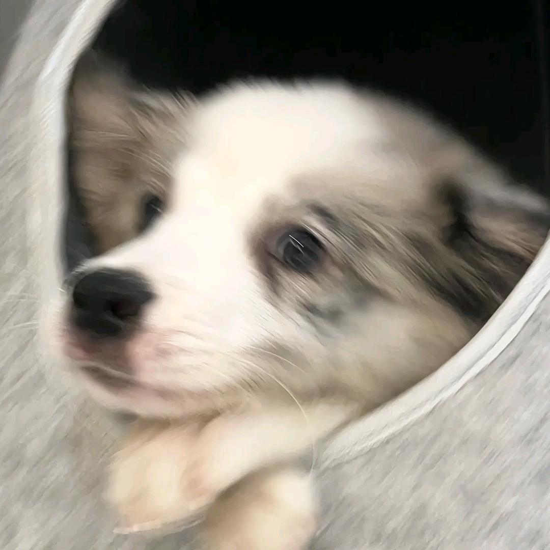 遇桁