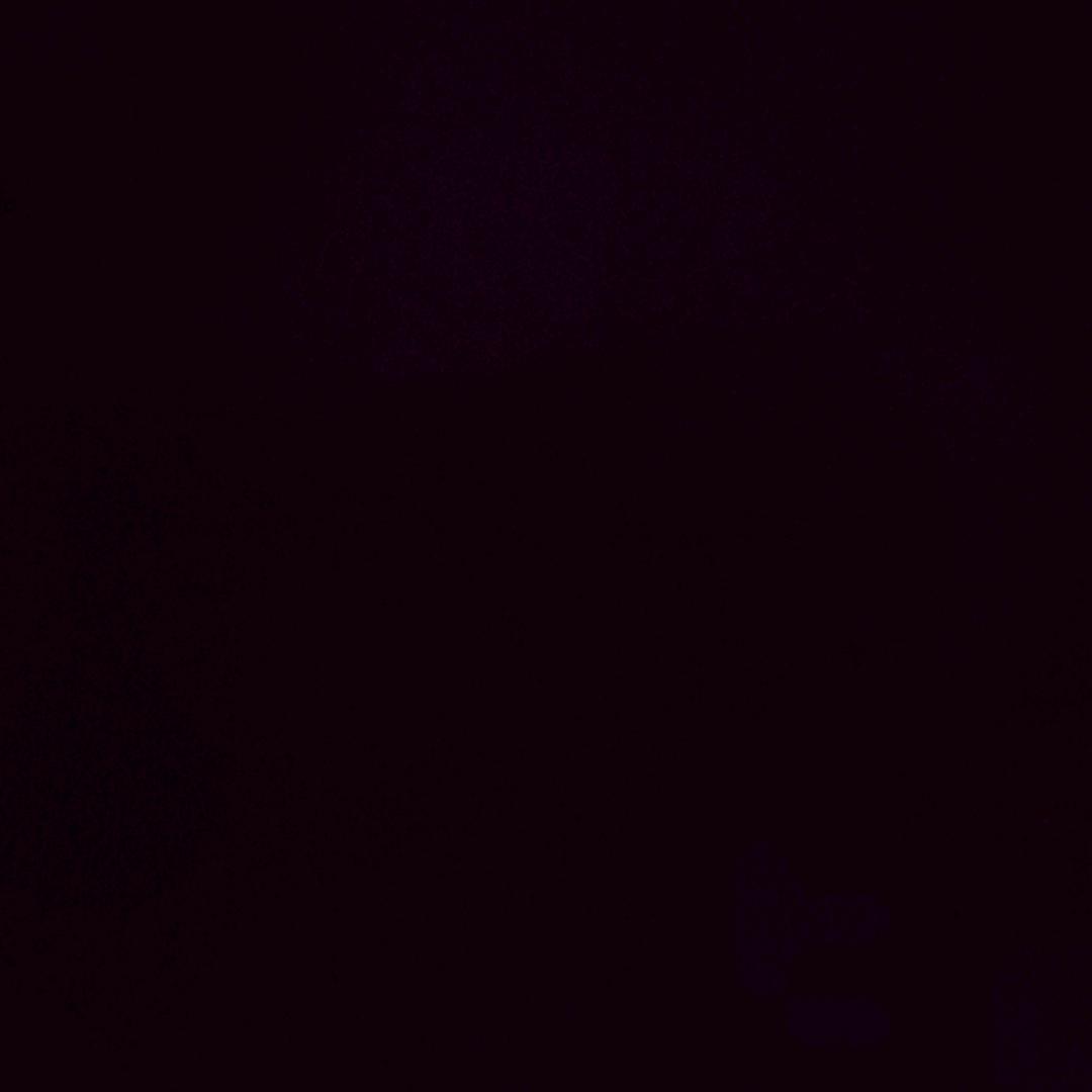 璐之冉花卉小店