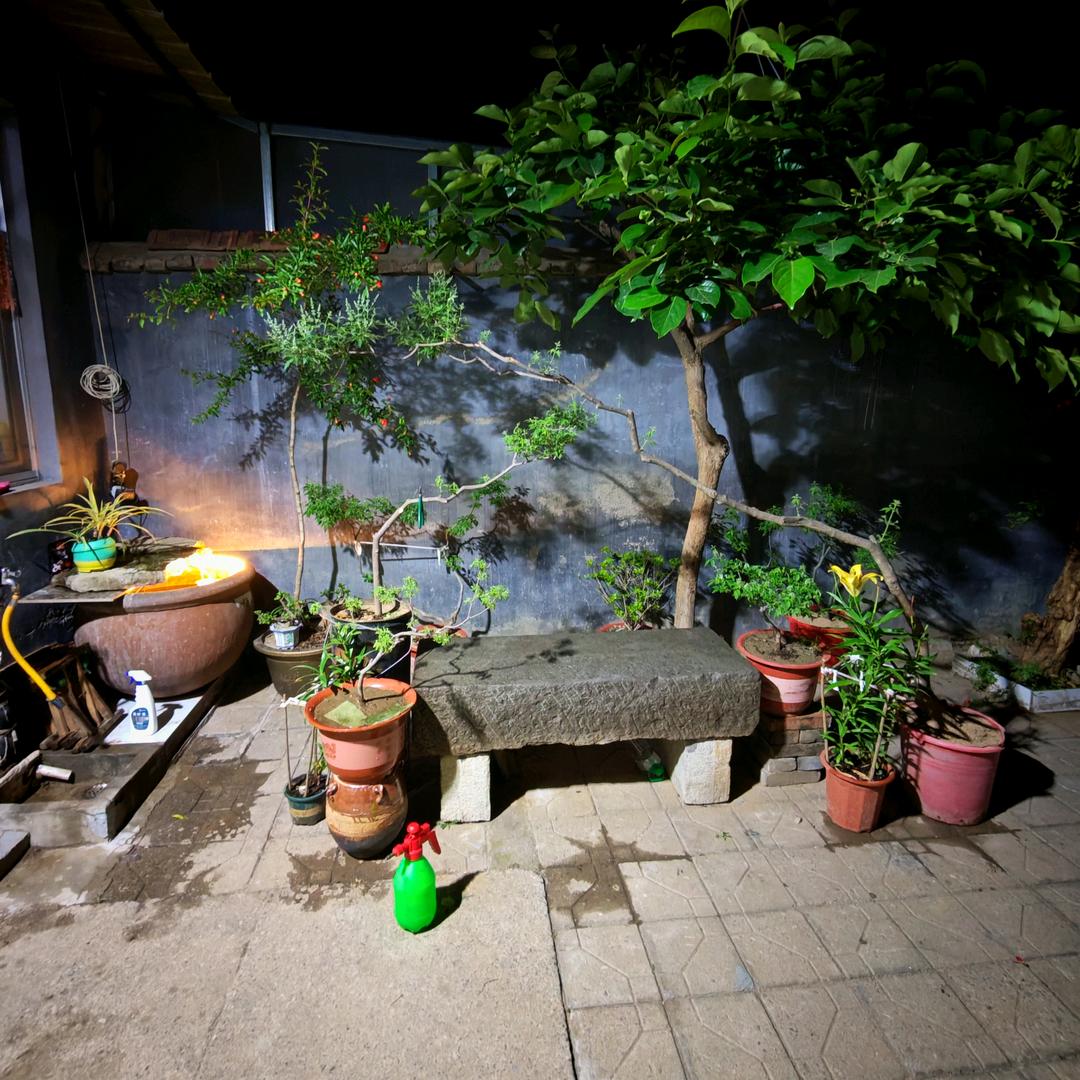 治愈小院