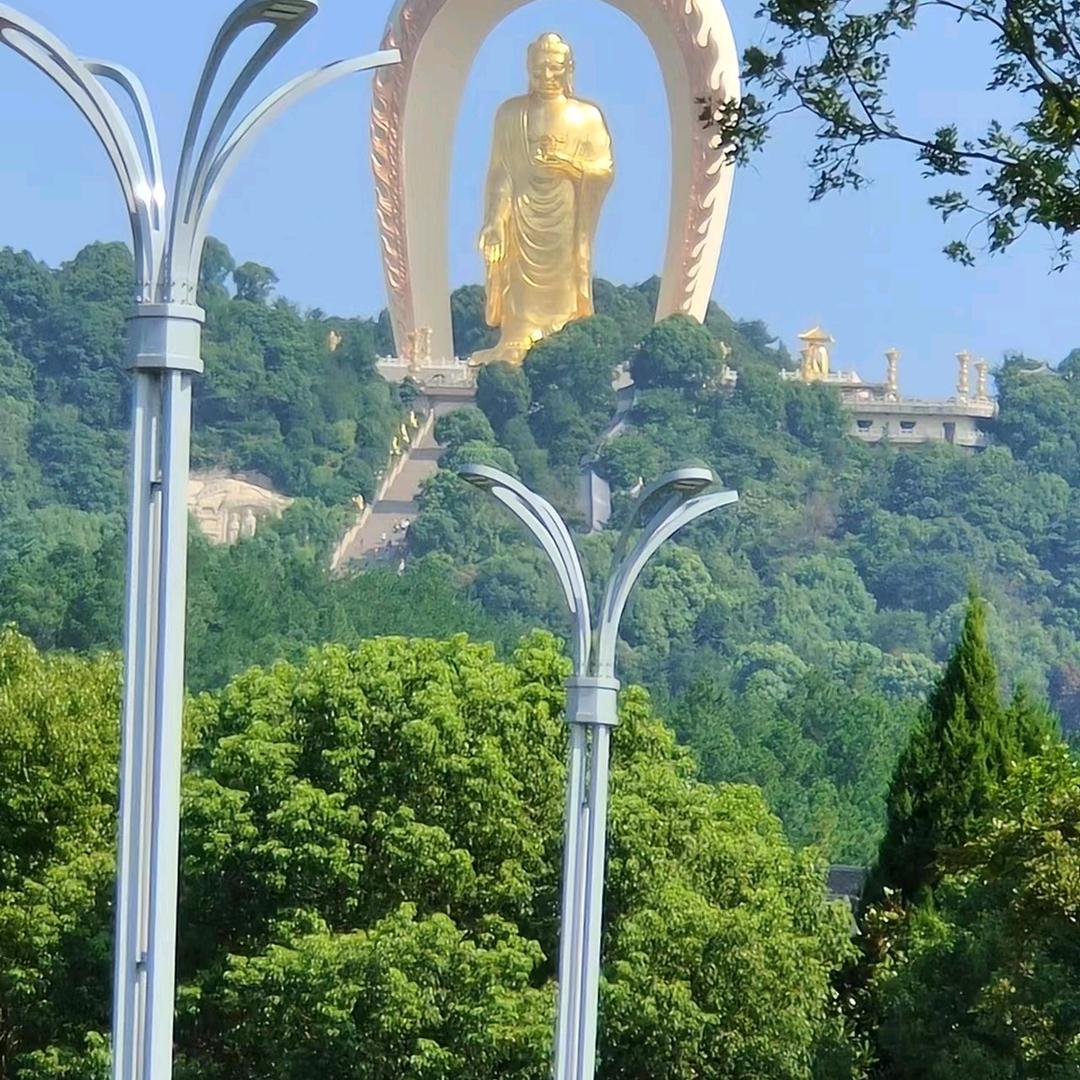 龙游天下