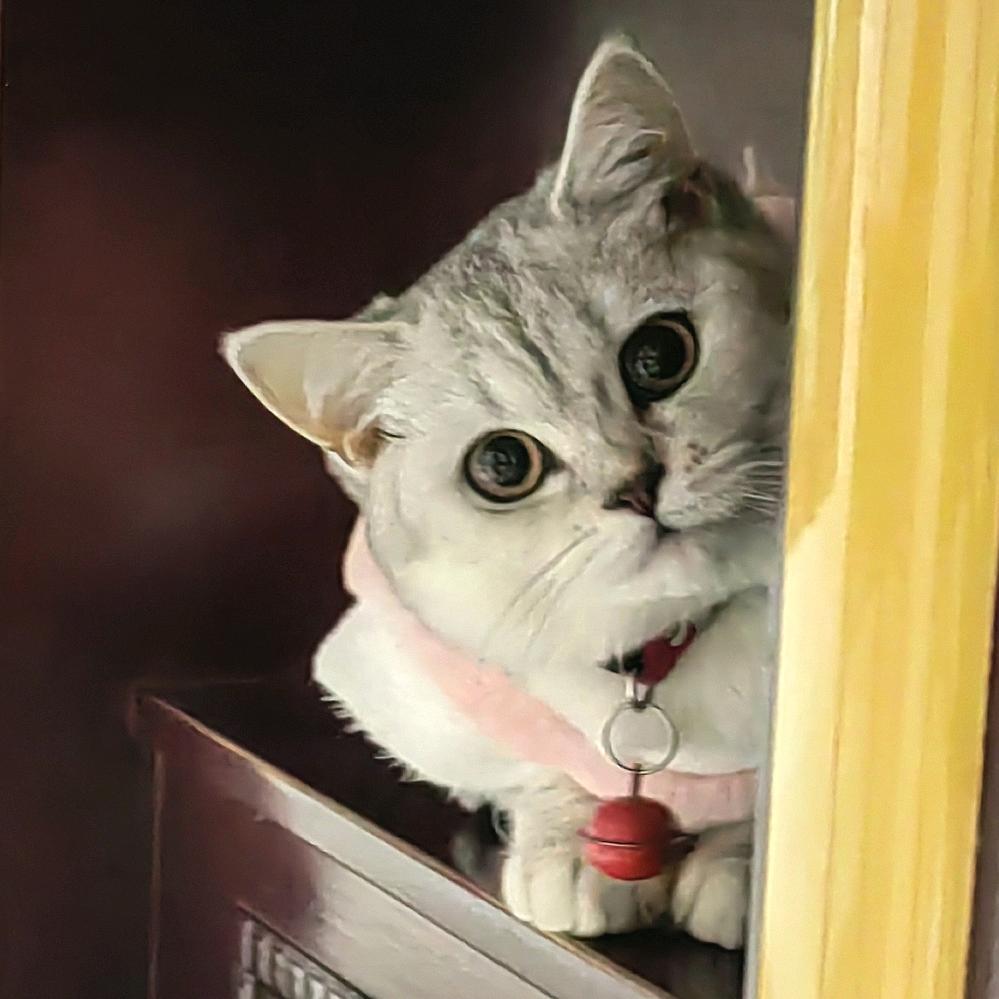 爱拍照的长颈鹿（英语）