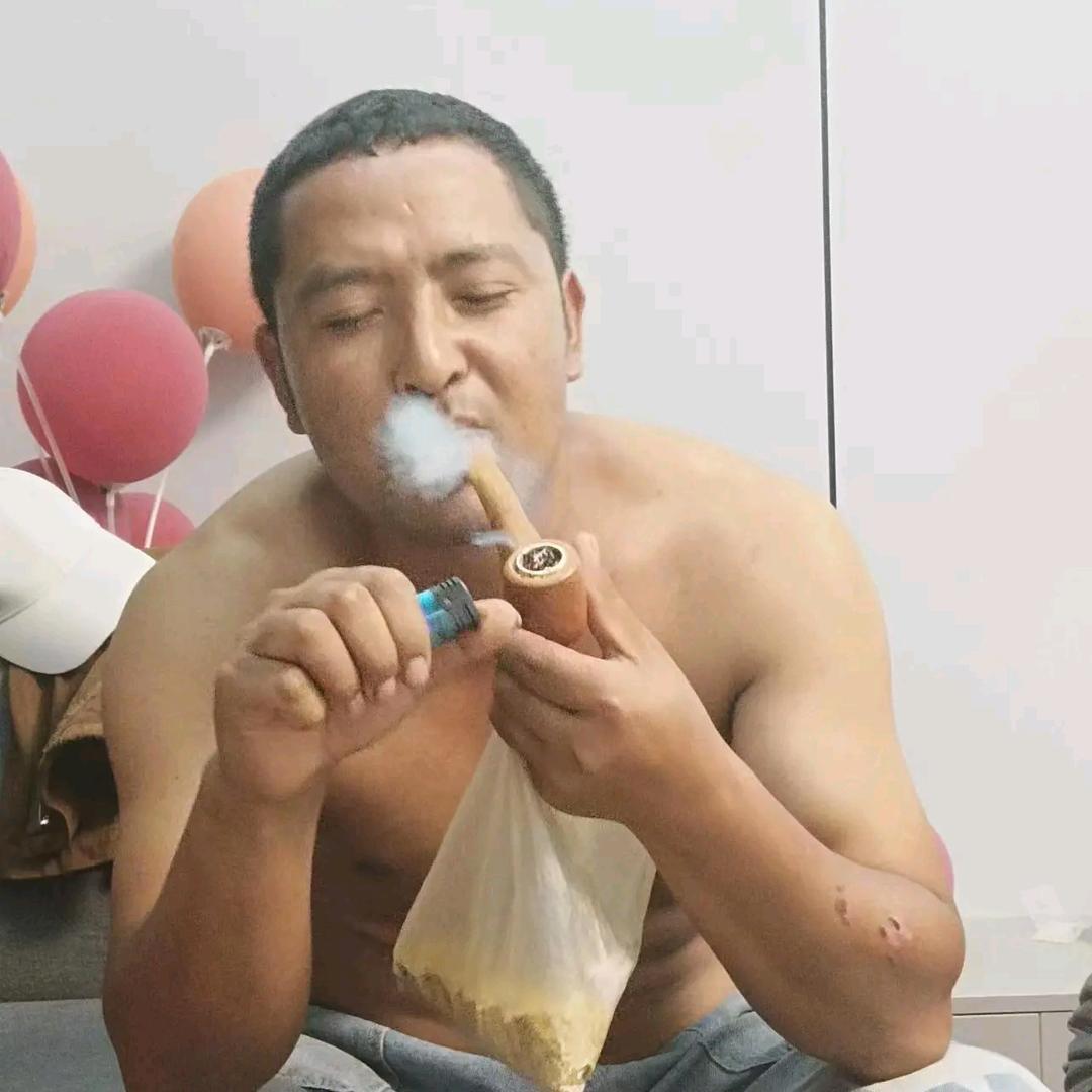 云南临沧边境青储加工