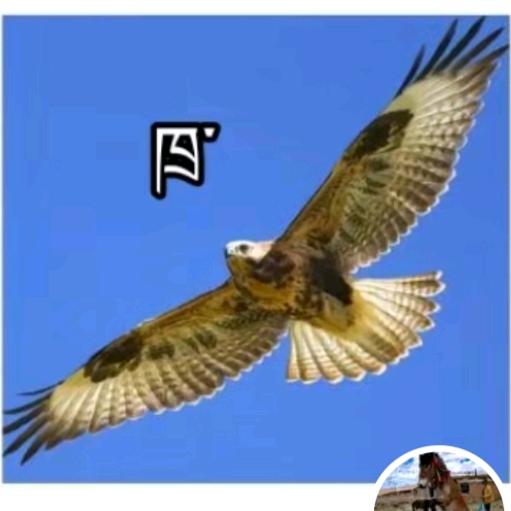 失败是成功之母