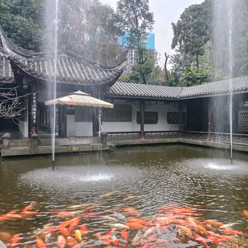 阿香头像