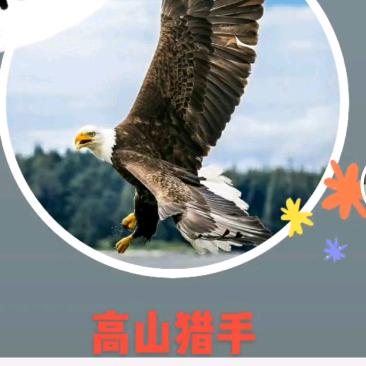 高山猎手