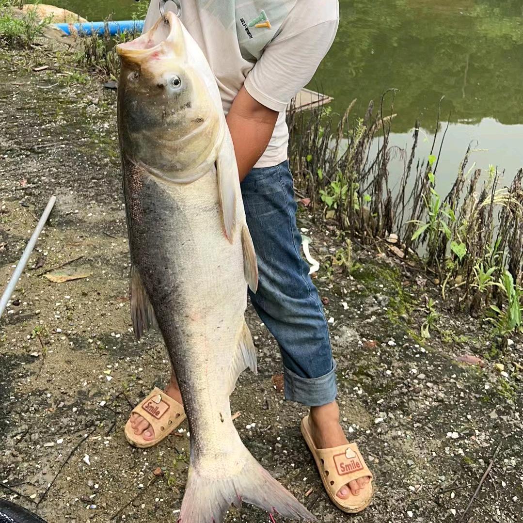 广州山泉水钓鱼场