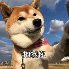 你看那猴的屁股红不红