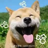 逸兔归来
