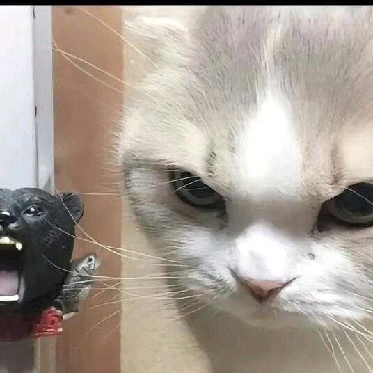 超