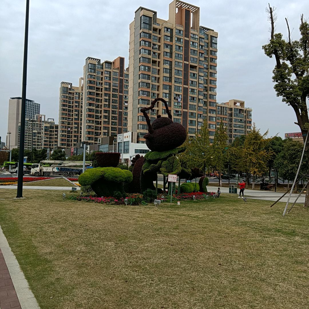 农村三哥