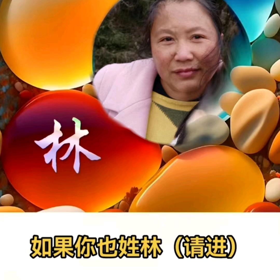 蝴蝶菊