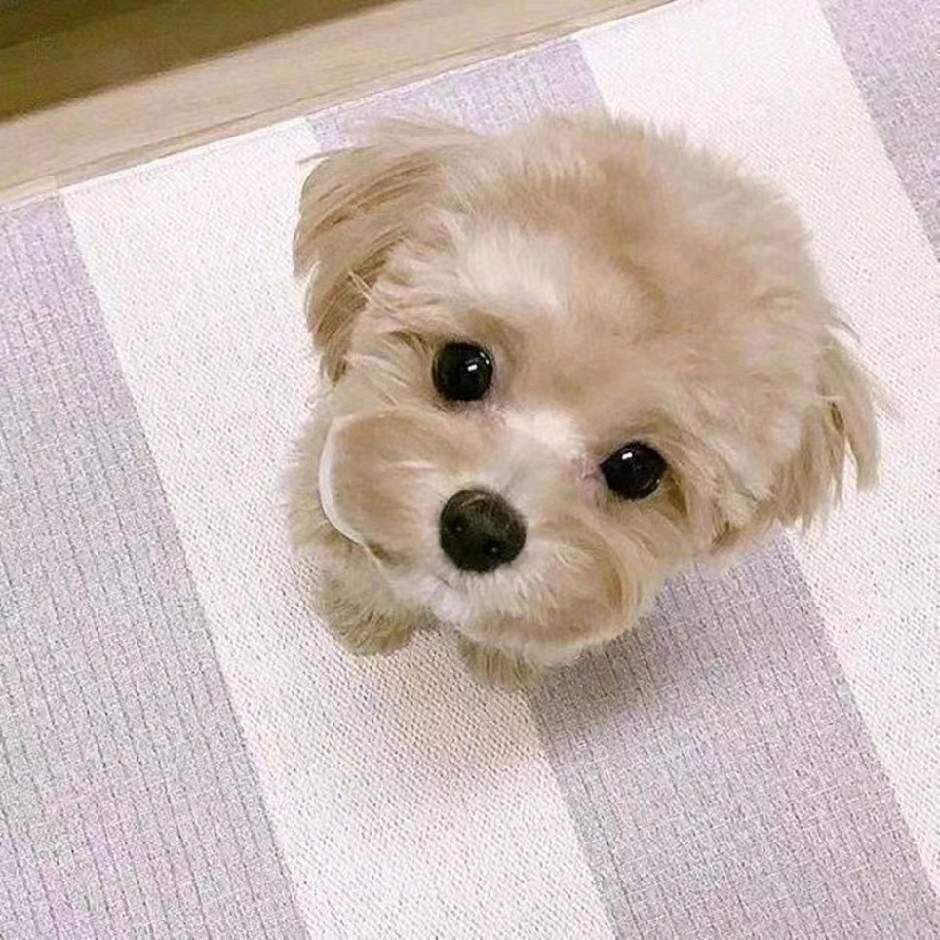 信仰あ
