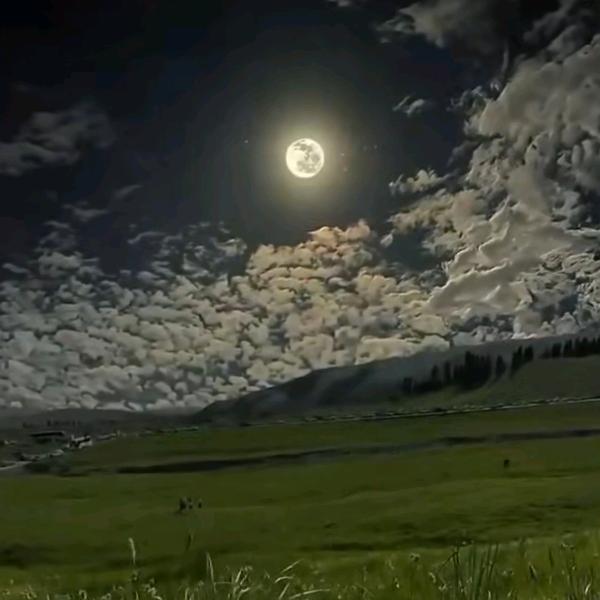 欺骗