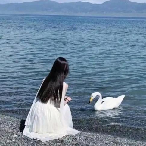 依🦋朵