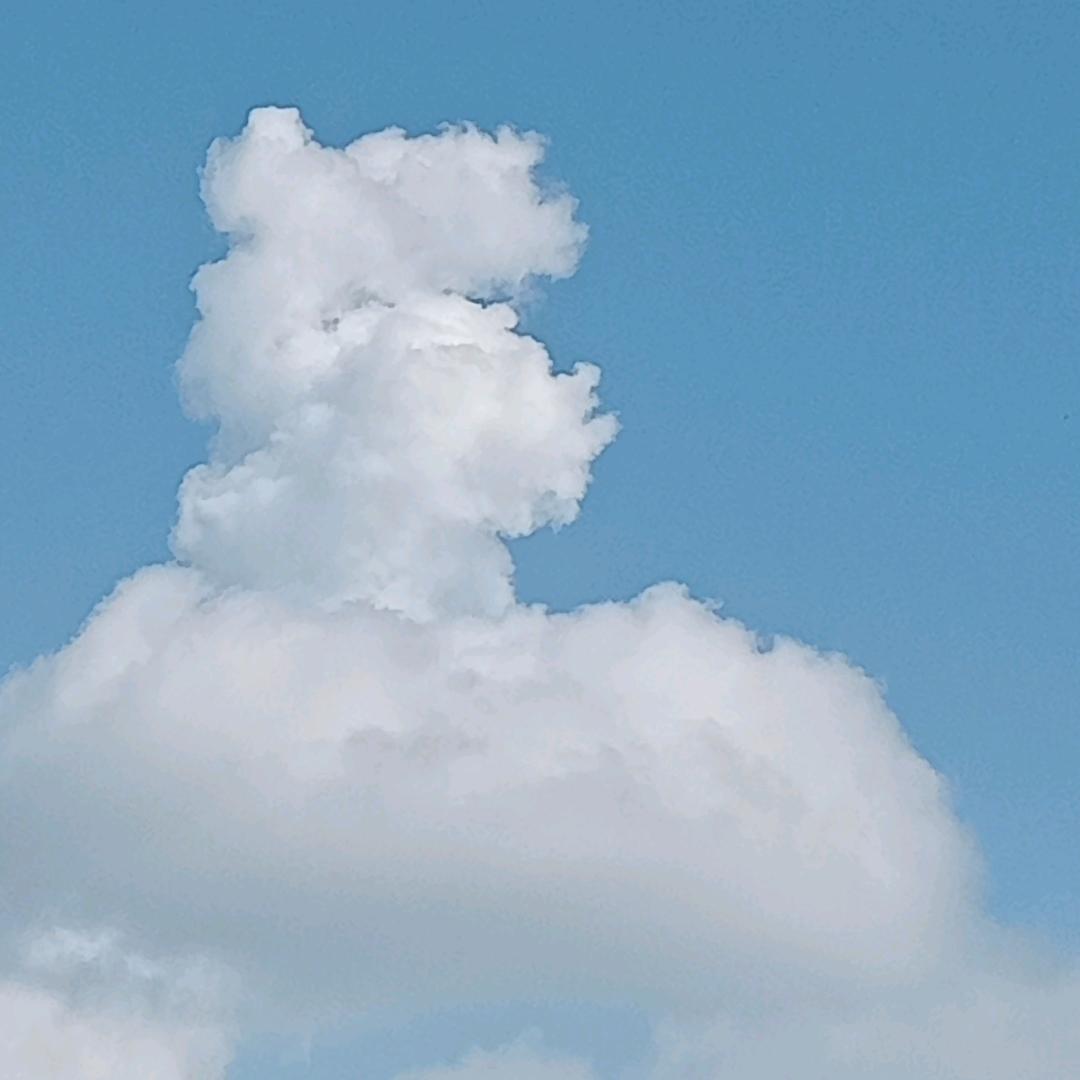 🥀🥀⃟错把᭄敷衍ꦻ当承诺ꦿᭁ