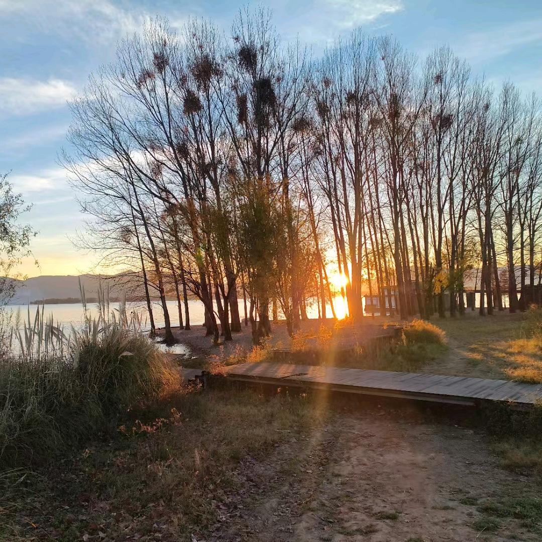 大雨带我去逃亡