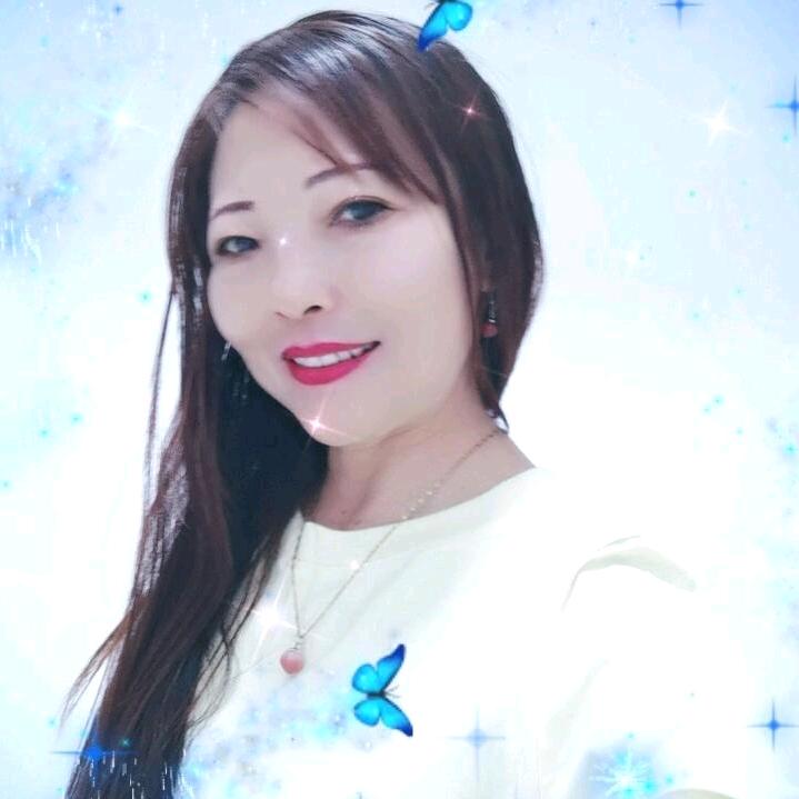 执着情感