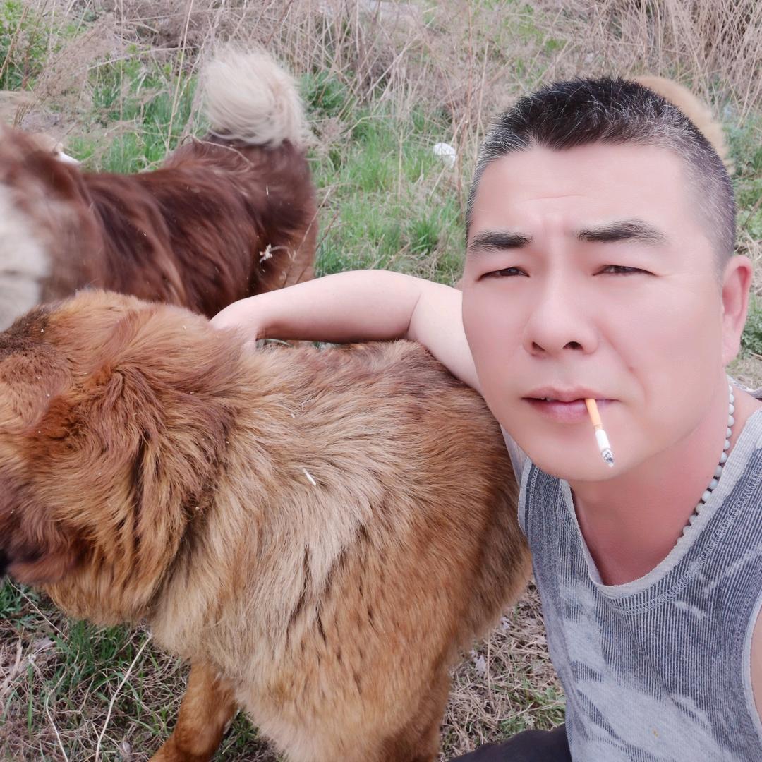 狗狗营