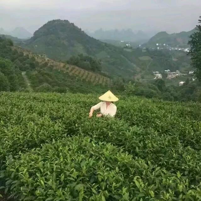 万怡