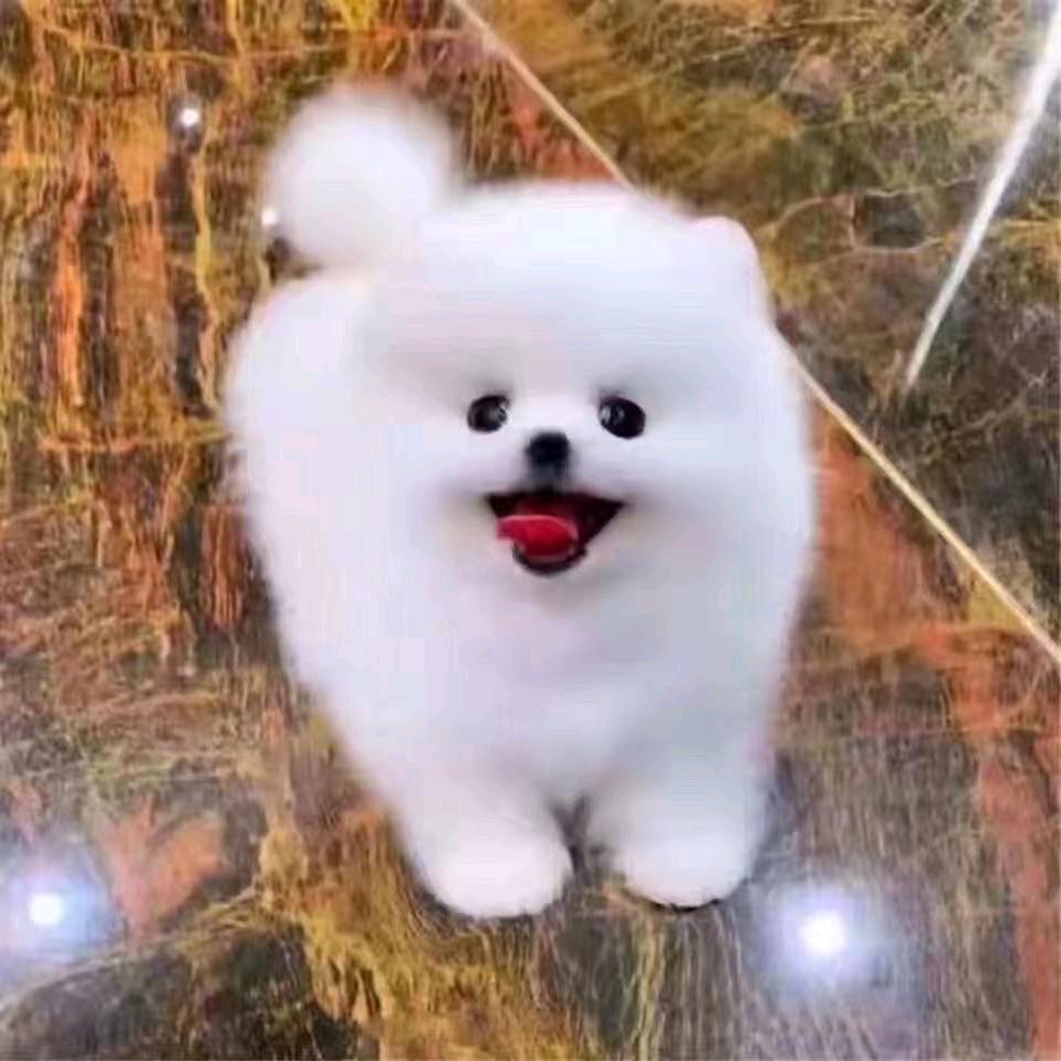 悠悠闲闲