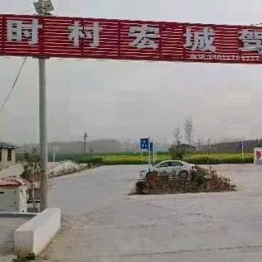 时村宏城驾校  无语