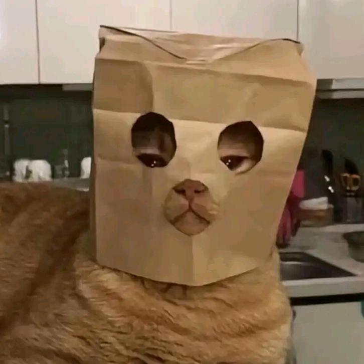 依旧等待元旦宝宝