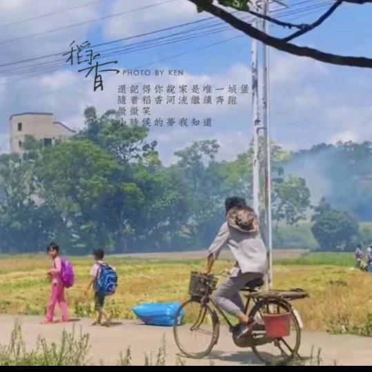 人生百态