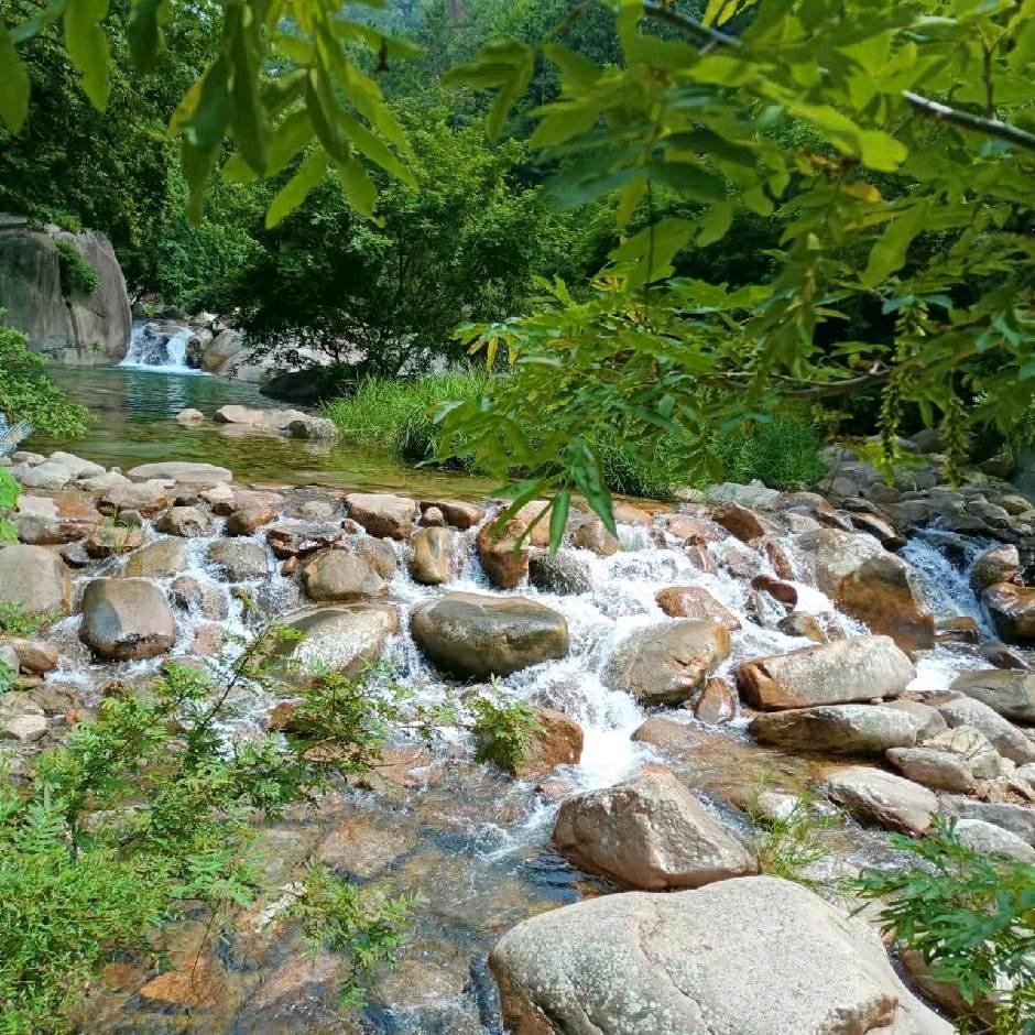 答案在风中飘荡