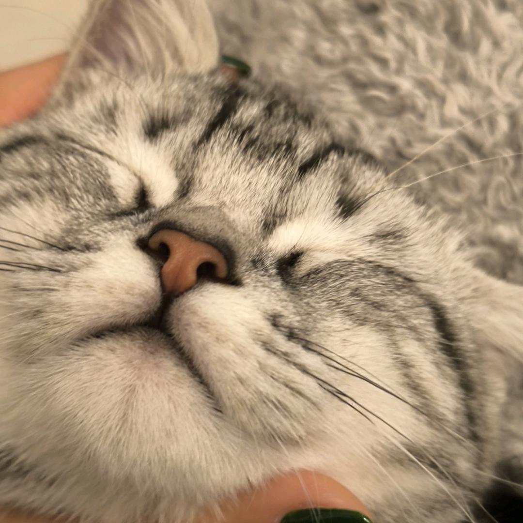 一抹黑（11.4见薛之谦版）