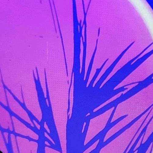 哎呀！又是新鲜感嘛。