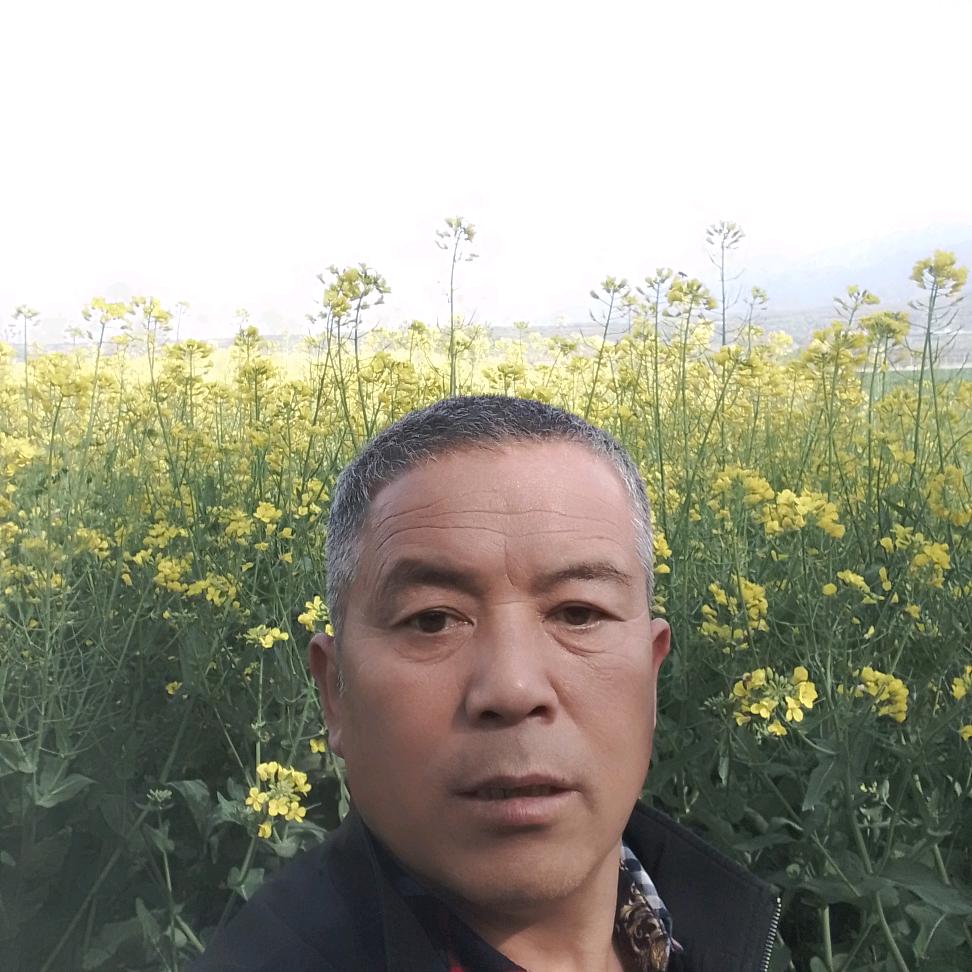西安海哥