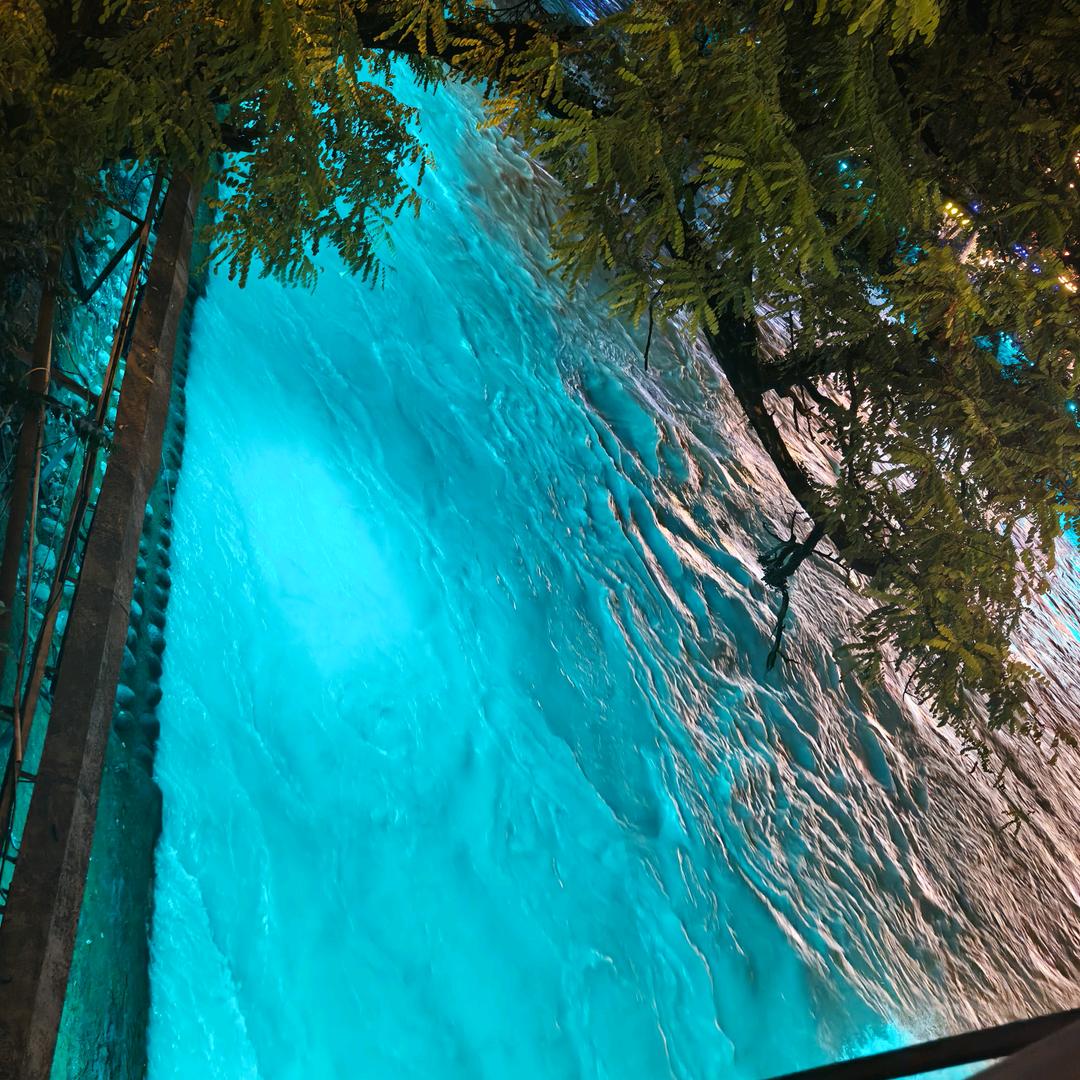 何以解忧，唯有暴富