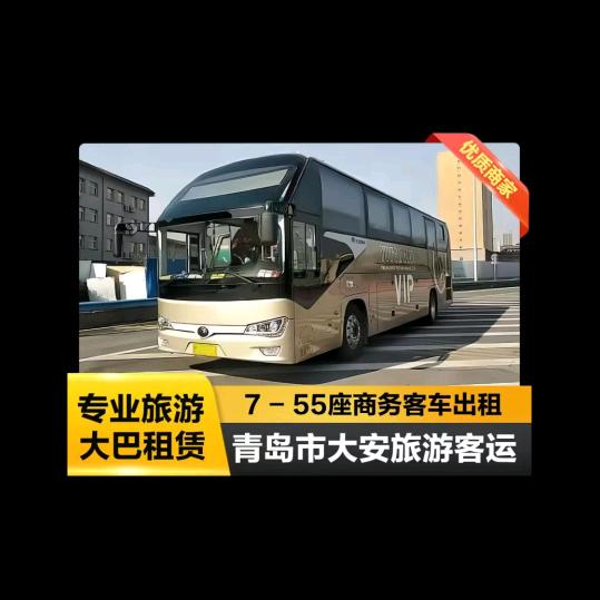 大安旅游车队