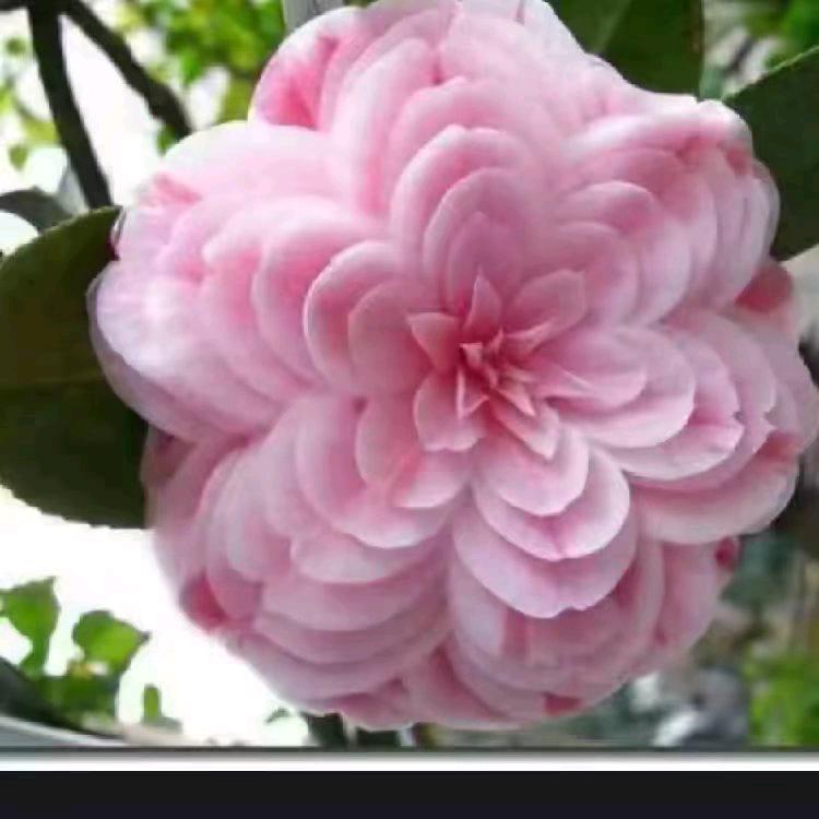 榆社好人一生平安