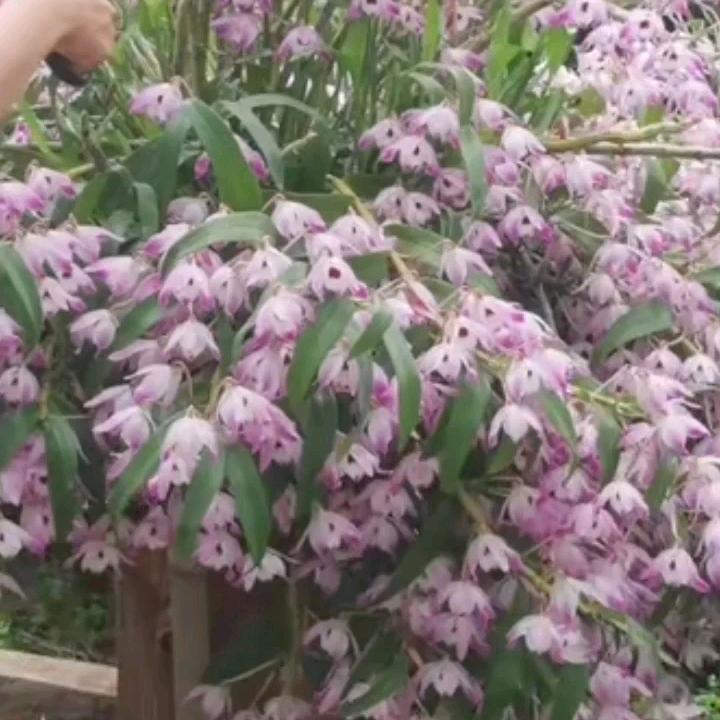 平平安安😘