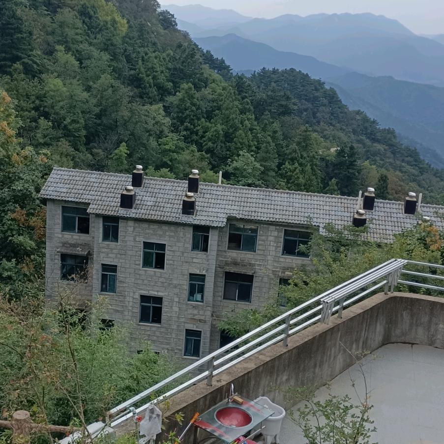 唯我所爱