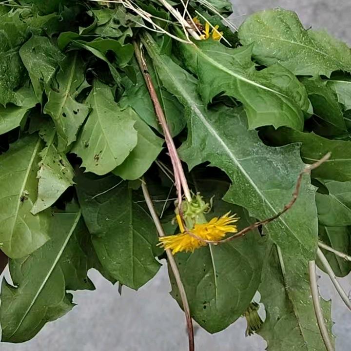 💎忘💎川💎河💎畔💎