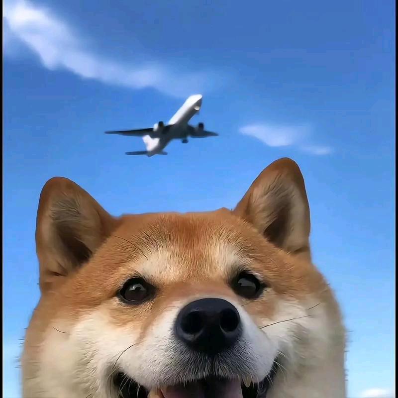 洪波涌起