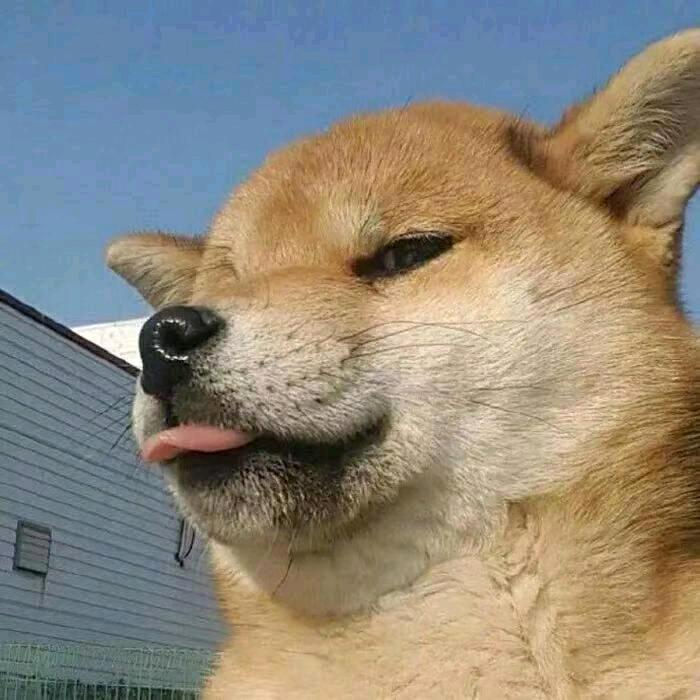 违规昵称167831889767919