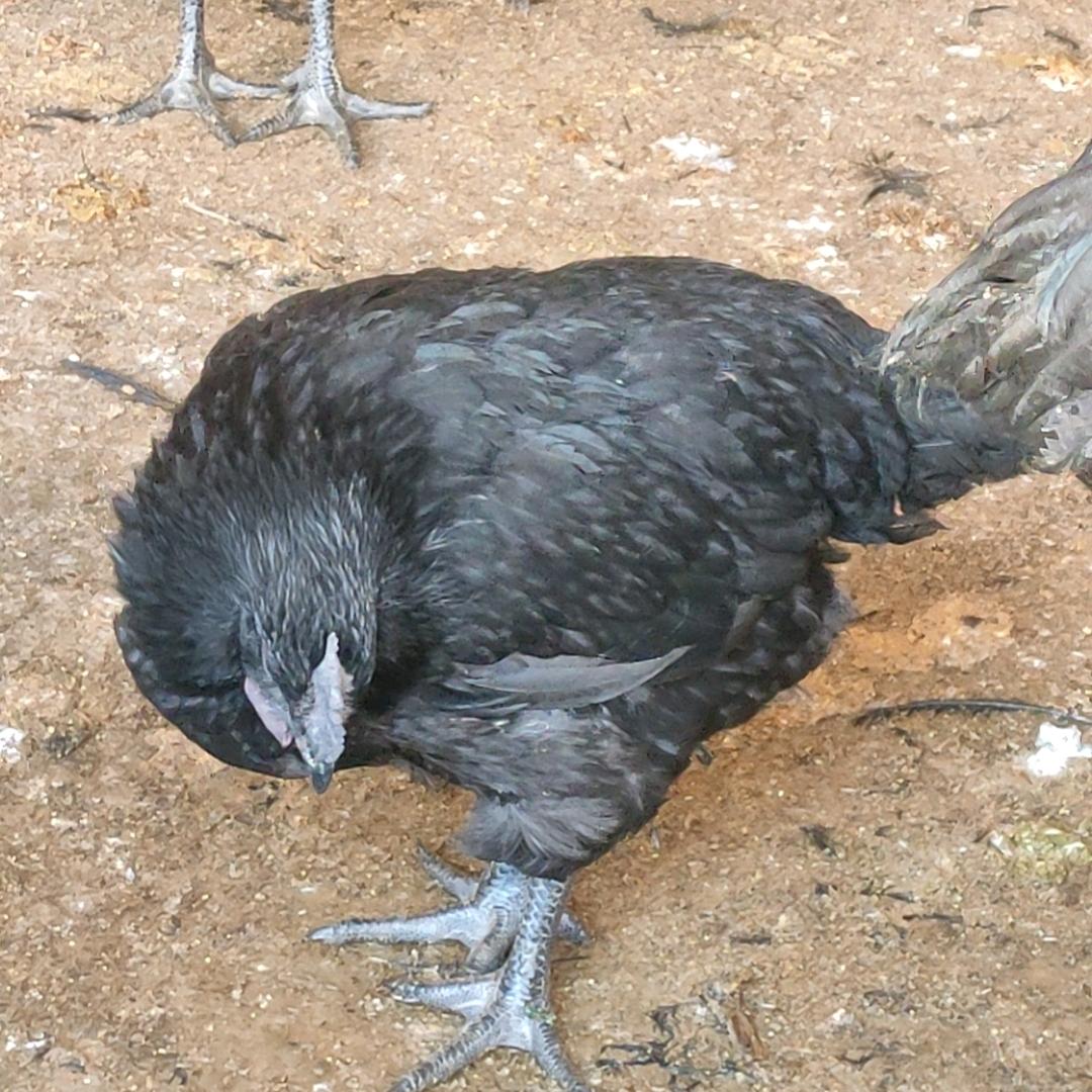 ²º²⁵༼ཽ༉ღ重启᭄ ꧔ꦿ