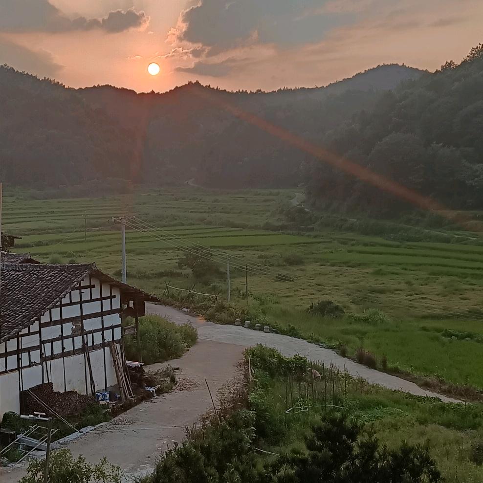 山有木兮木有枝，心悦梦兮梦不知