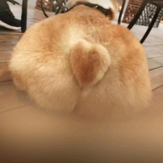 下一站是你