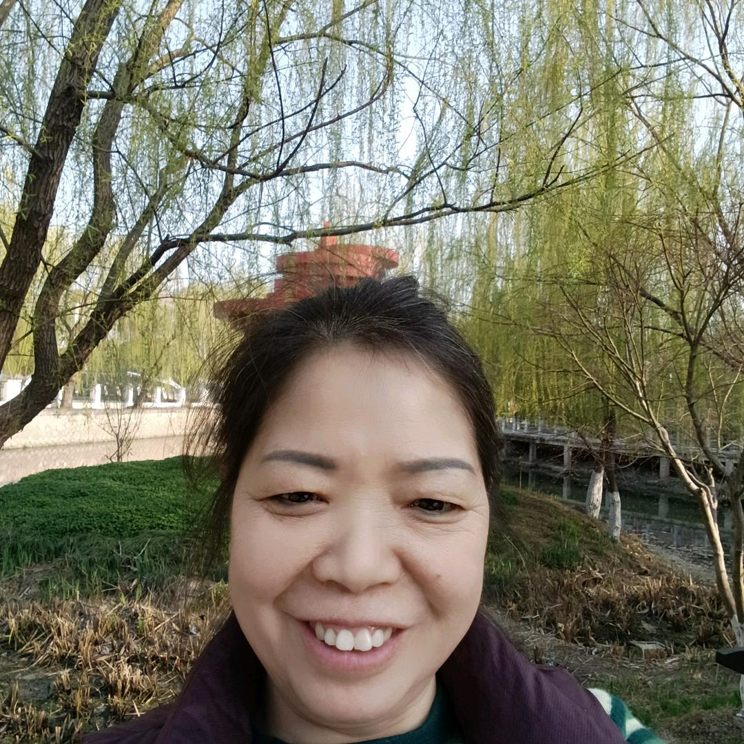 刘小林