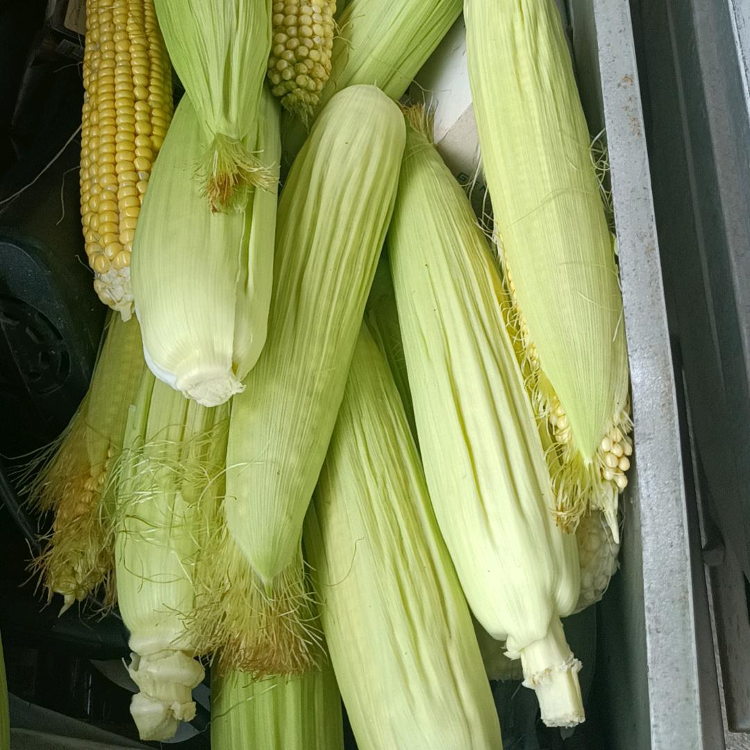 南边开店
