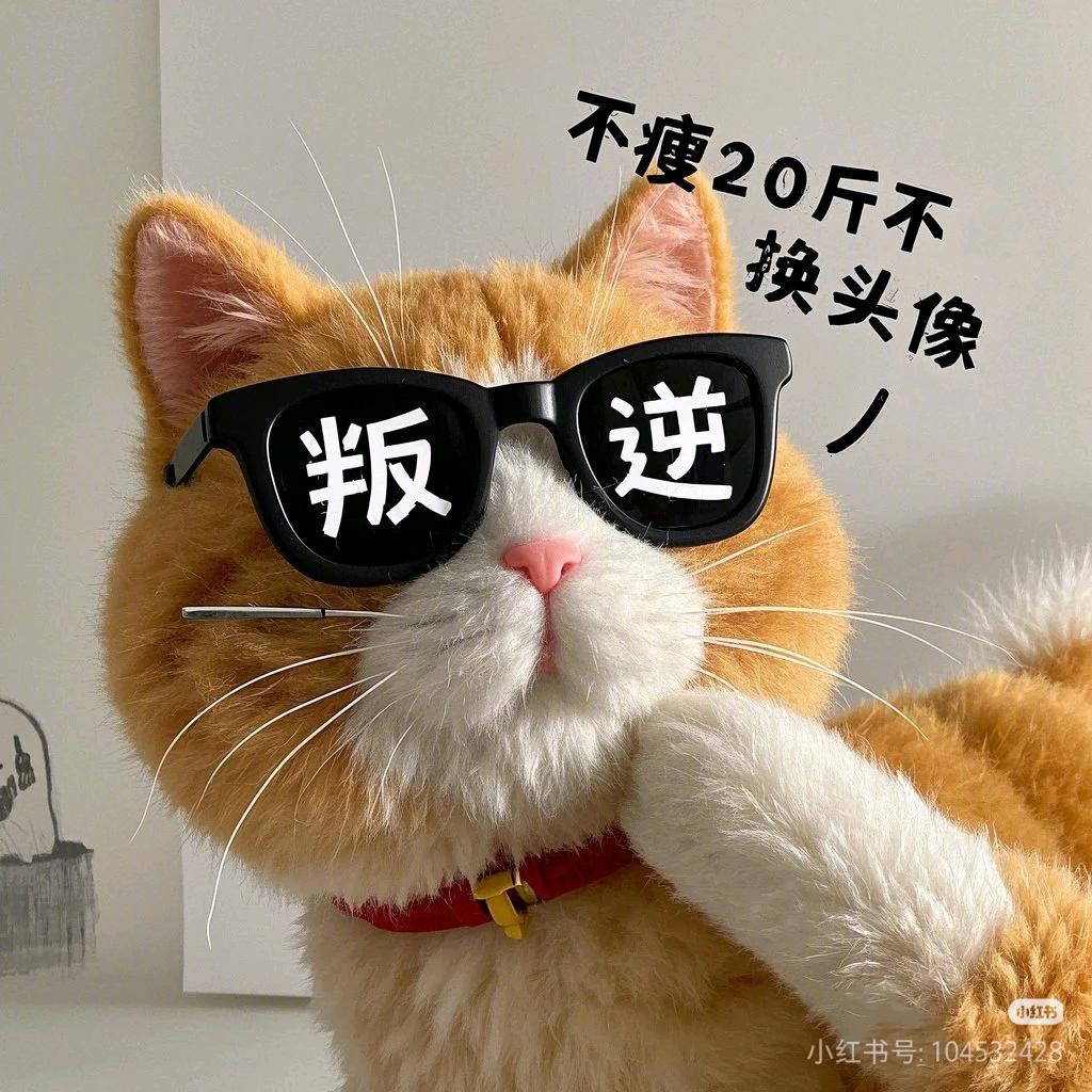 皮皮の铲屎官儿～