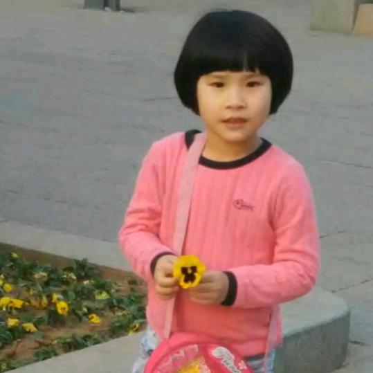 杨晓青