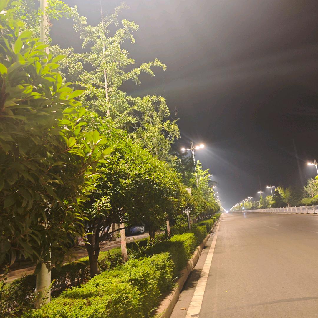 大家好我是熊🐻二