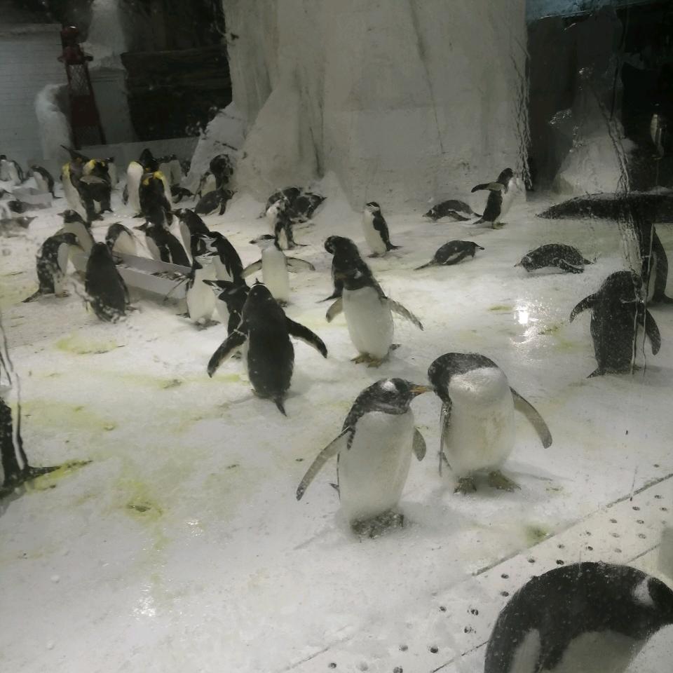 旮旯有疙顯眼包